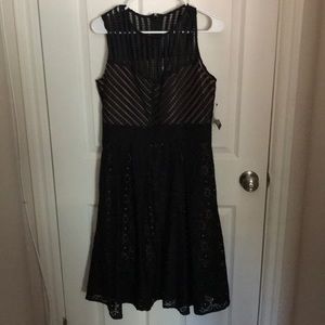 NWT New York and company dress size medium